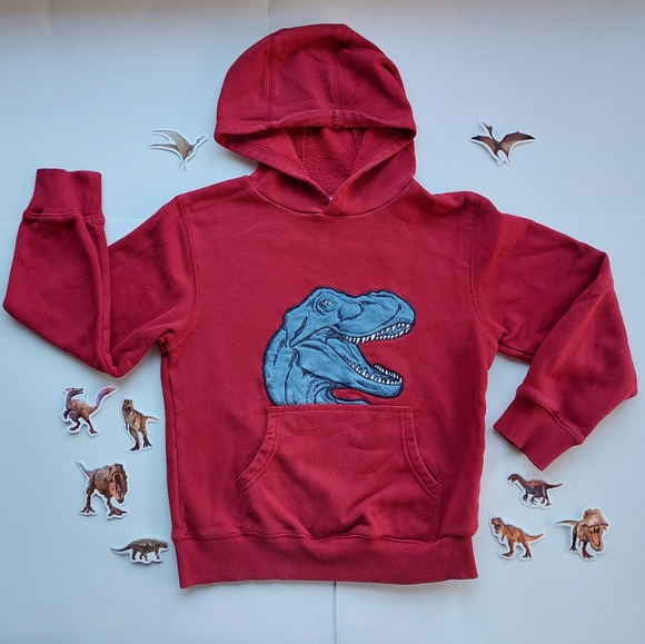 Gymboree dinosaur hoodie 7-8 years - Picture 15 of 15